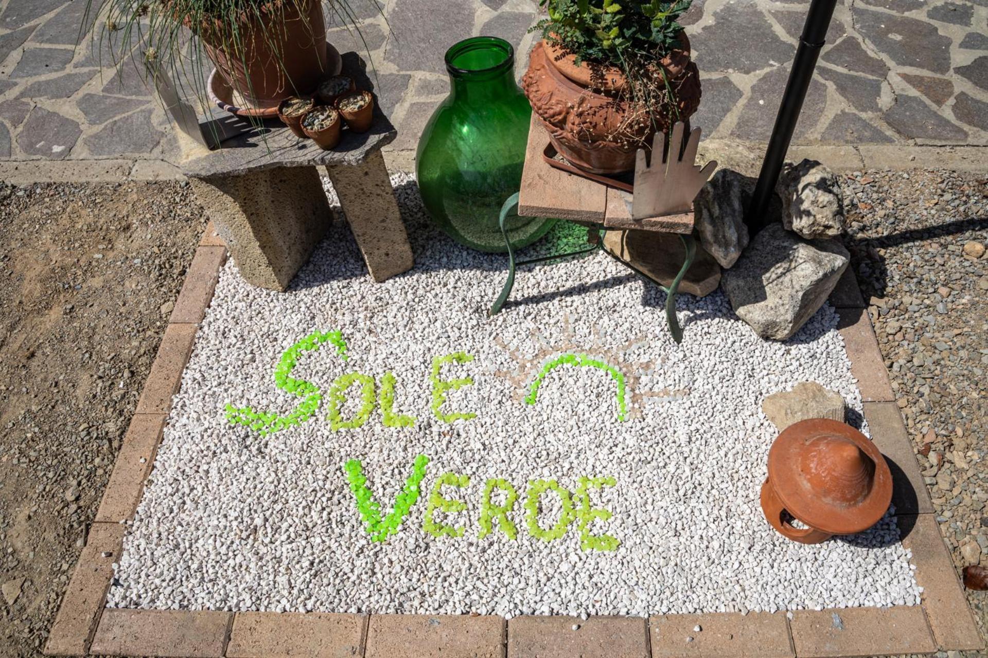 Sole Verde Green House Terricciola Exteriör bild